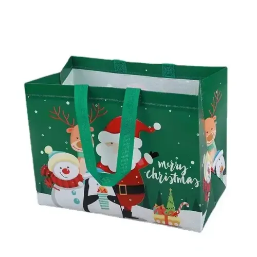 Custom laminated non woven bag 