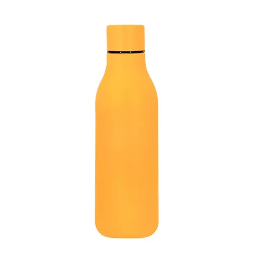 Modern cola stainless steel bottle- 30